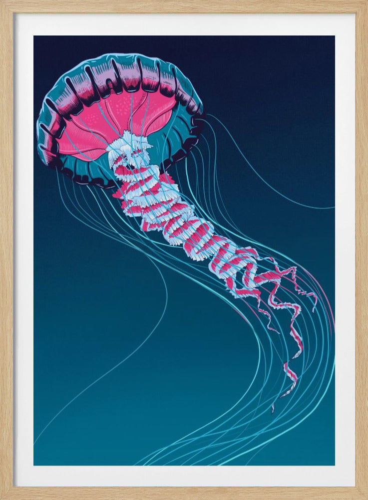 Lions Mane Jellyfish | Poster