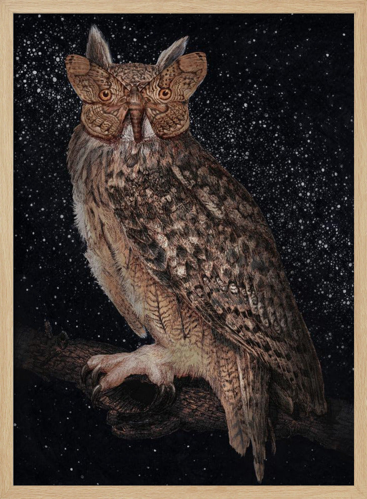 Camouflage en sterrenkleur | Poster