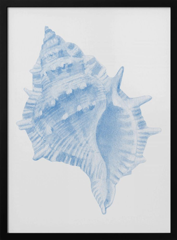 Een blauwe schelp | Poster