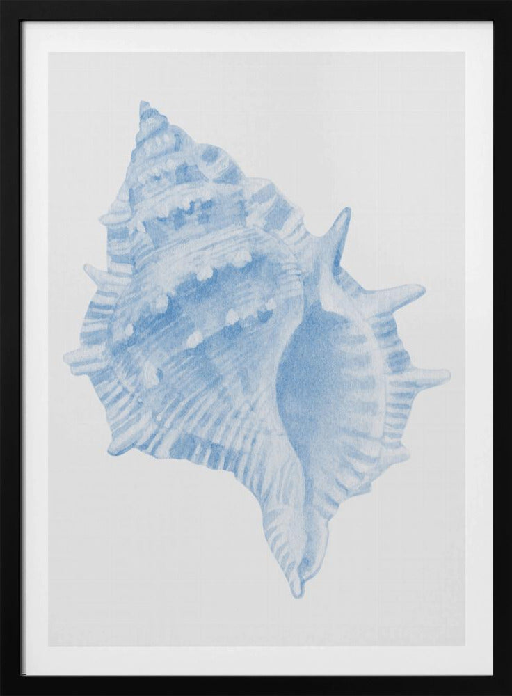 Een blauwe schelp | Poster