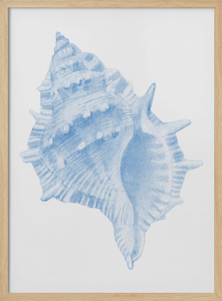Een blauwe schelp | Poster