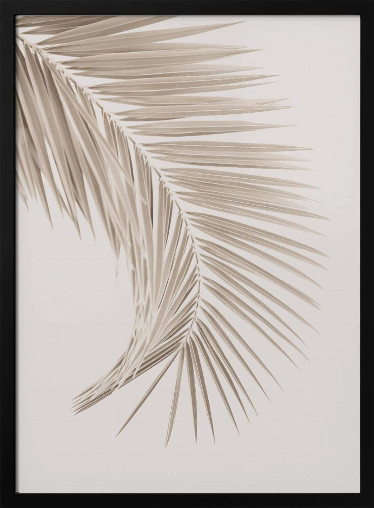 Bruin blad | Poster