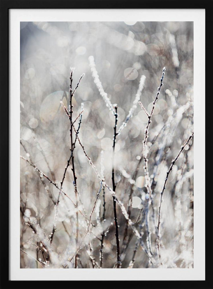 Een winterochtend 4 | Poster