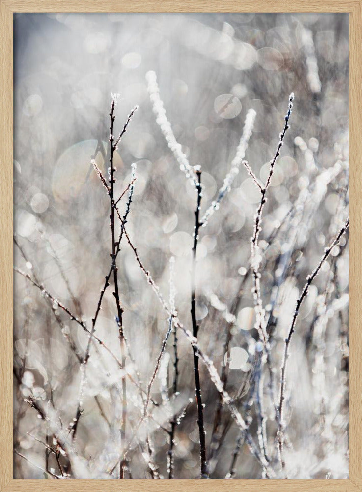 Een winterochtend 4 | Poster