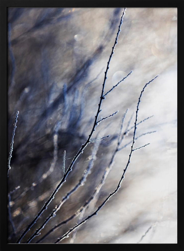 Een winterochtend 7 018a4832 | Poster
