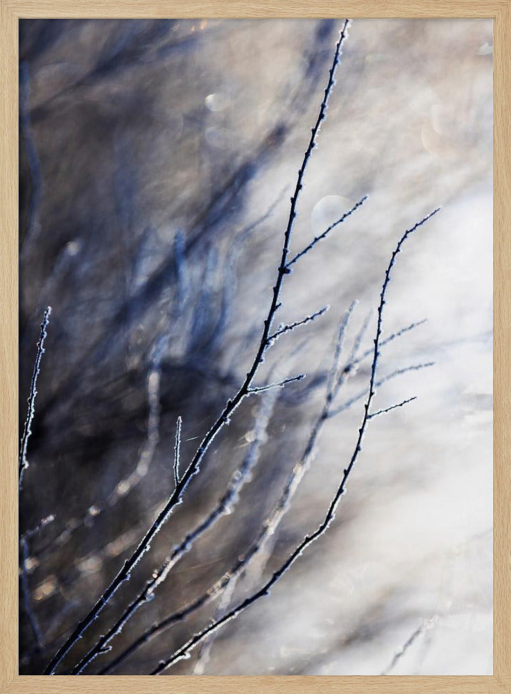 Een winterochtend 7 018a4832 | Poster