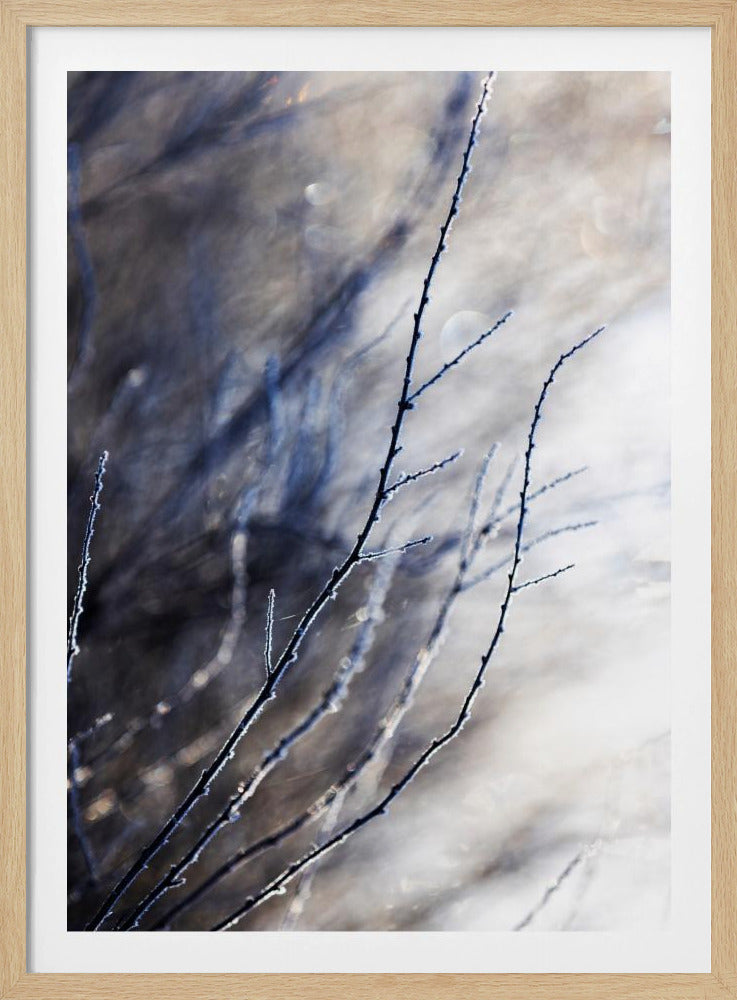 Een winterochtend 7 018a4832 | Poster