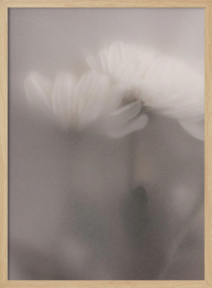 Vage bloemen 3 | Poster