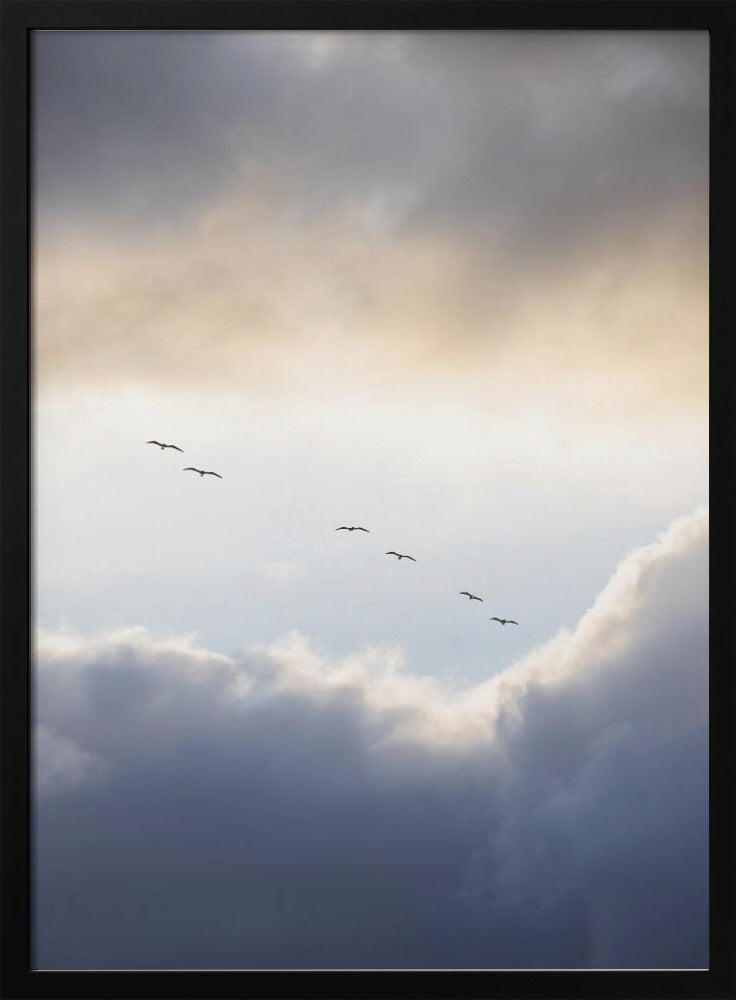 Vliegen op een hoog niveau | Poster