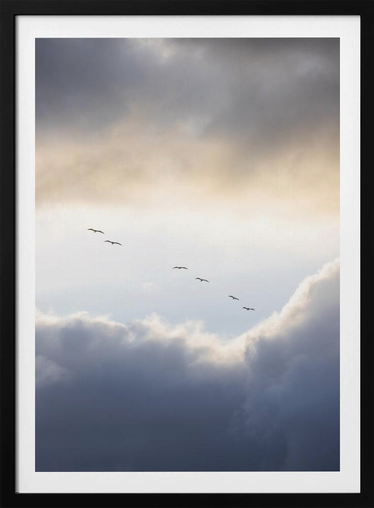Vliegen op een hoog niveau | Poster