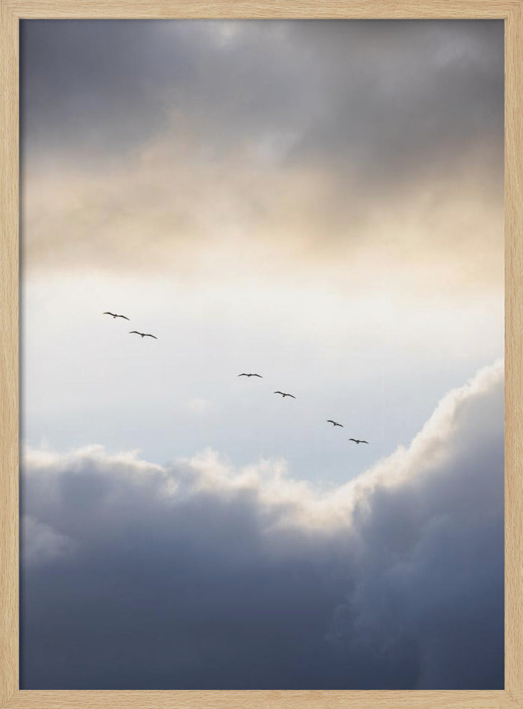Vliegen op een hoog niveau | Poster