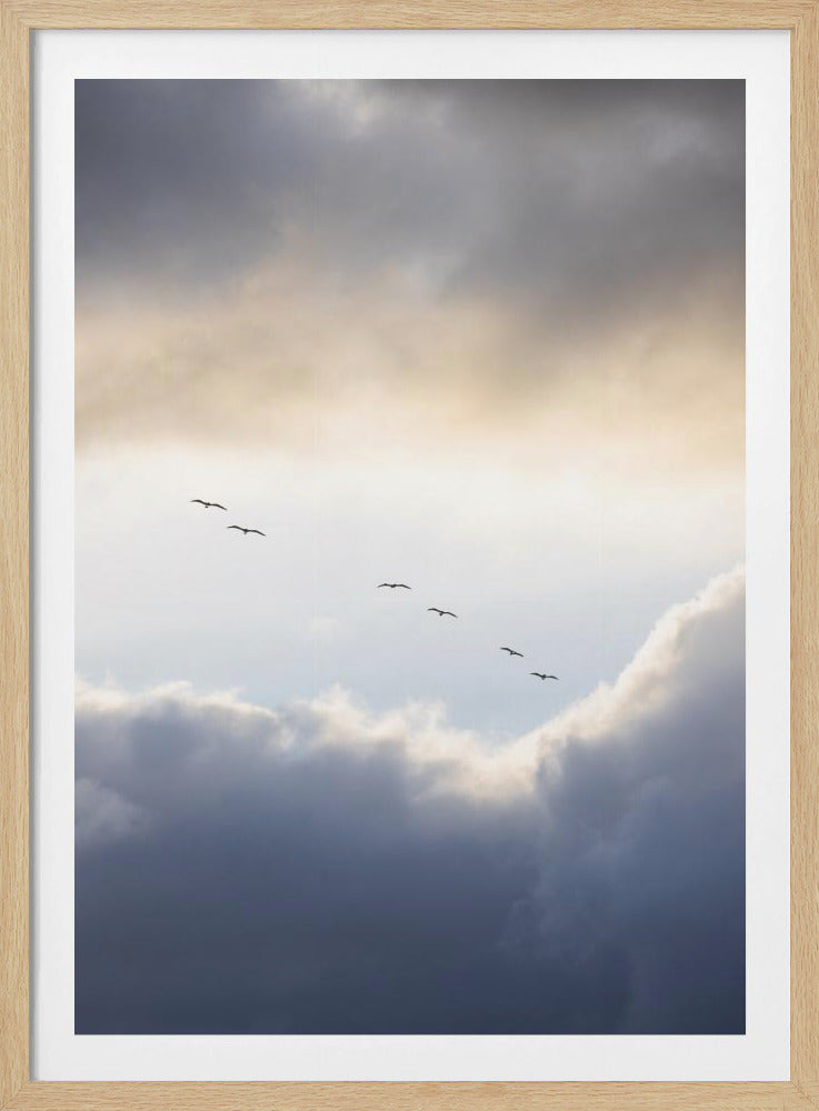 Vliegen op een hoog niveau | Poster
