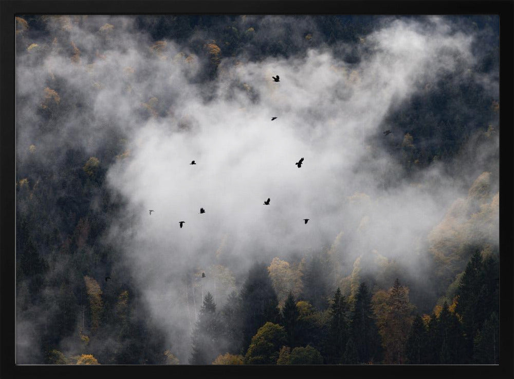 Mistige bossen 8 | Poster