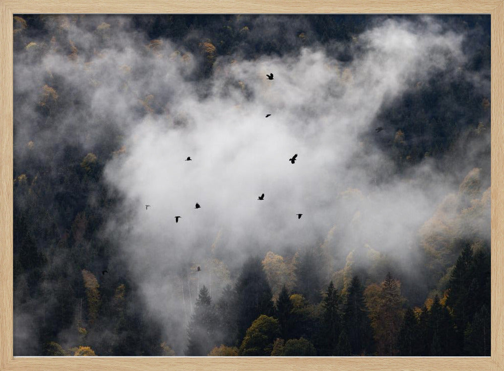 Mistige bossen 8 | Poster