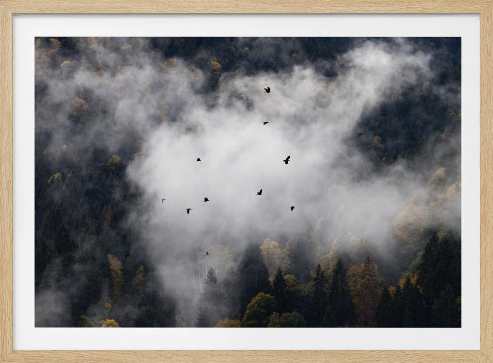 Mistige bossen 8 | Poster