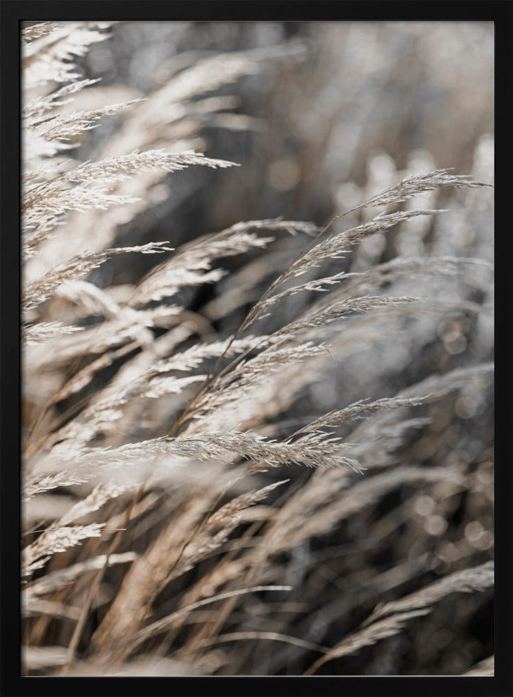 Grass 28 | Poster