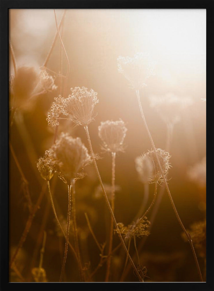 Gouden Uur 1 | Poster