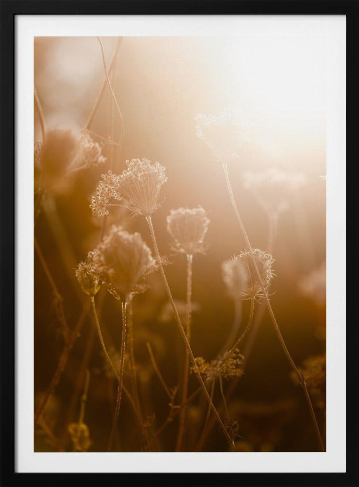 Gouden Uur 1 | Poster
