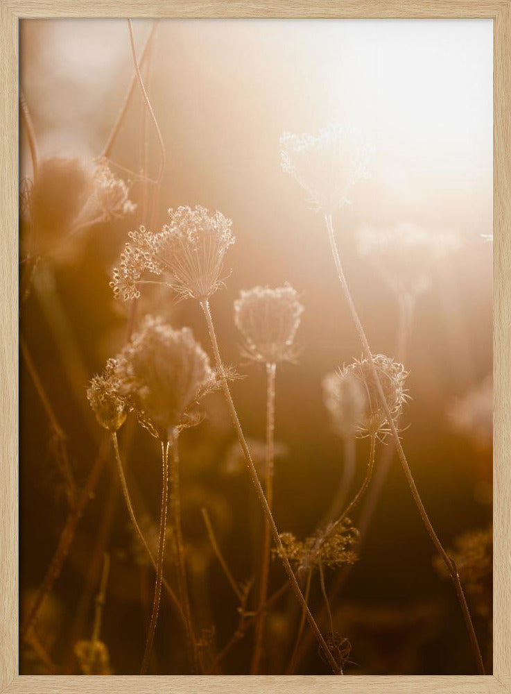 Gouden Uur 1 | Poster