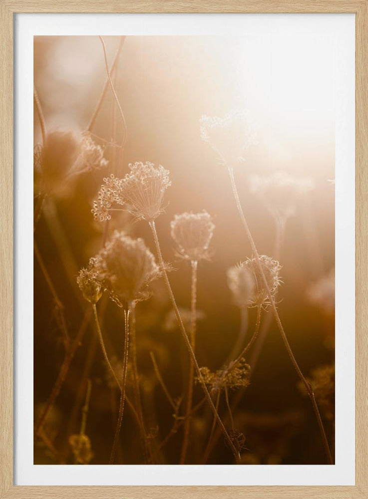 Gouden Uur 1 | Poster
