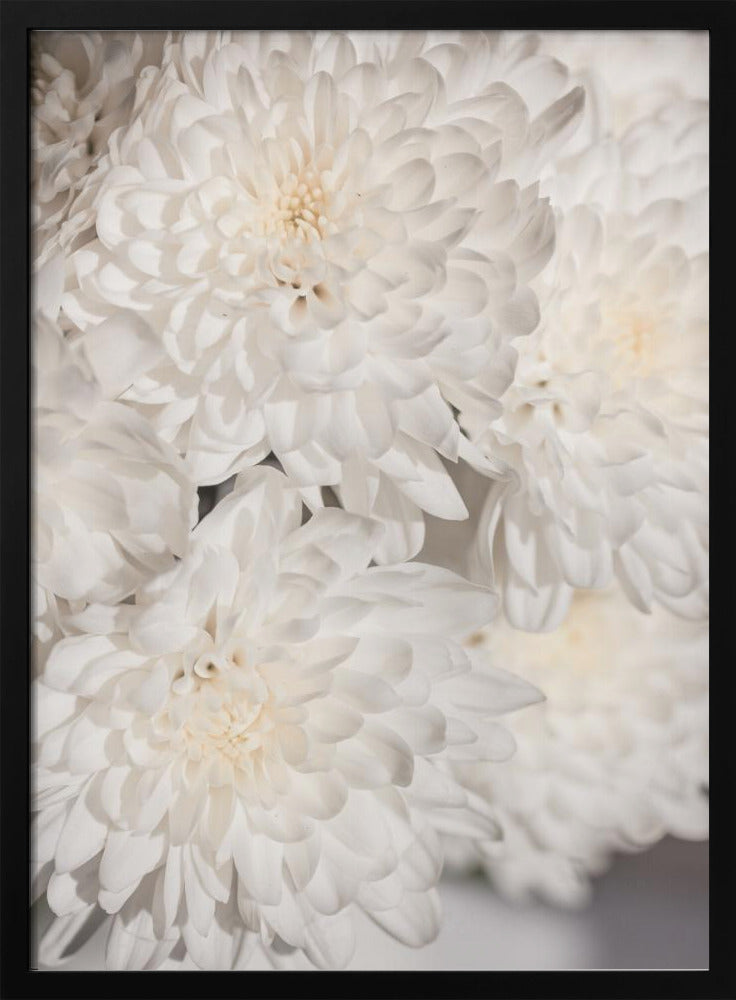 Witte Bloemen 2 | Poster