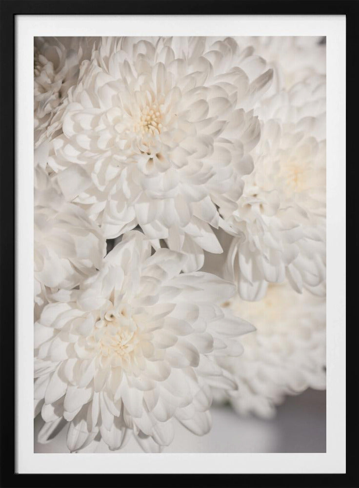 Witte Bloemen 2 | Poster