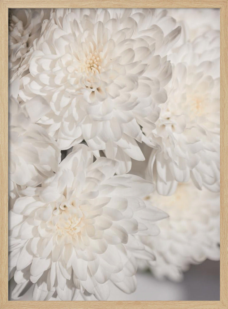 Witte Bloemen 2 | Poster