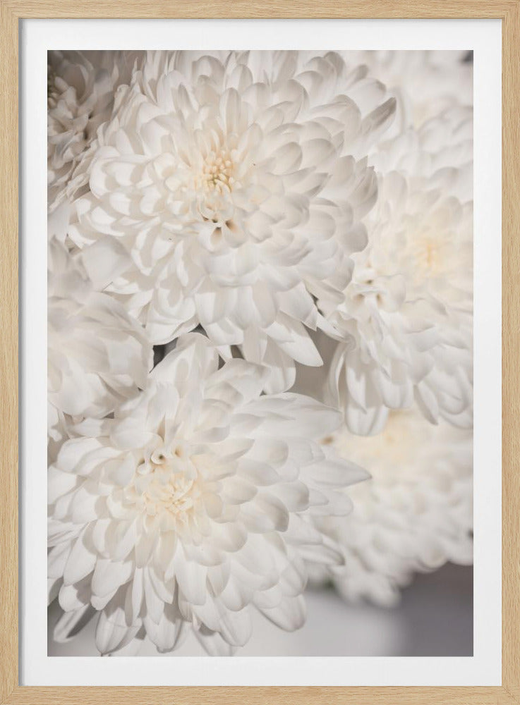 Witte Bloemen 2 | Poster