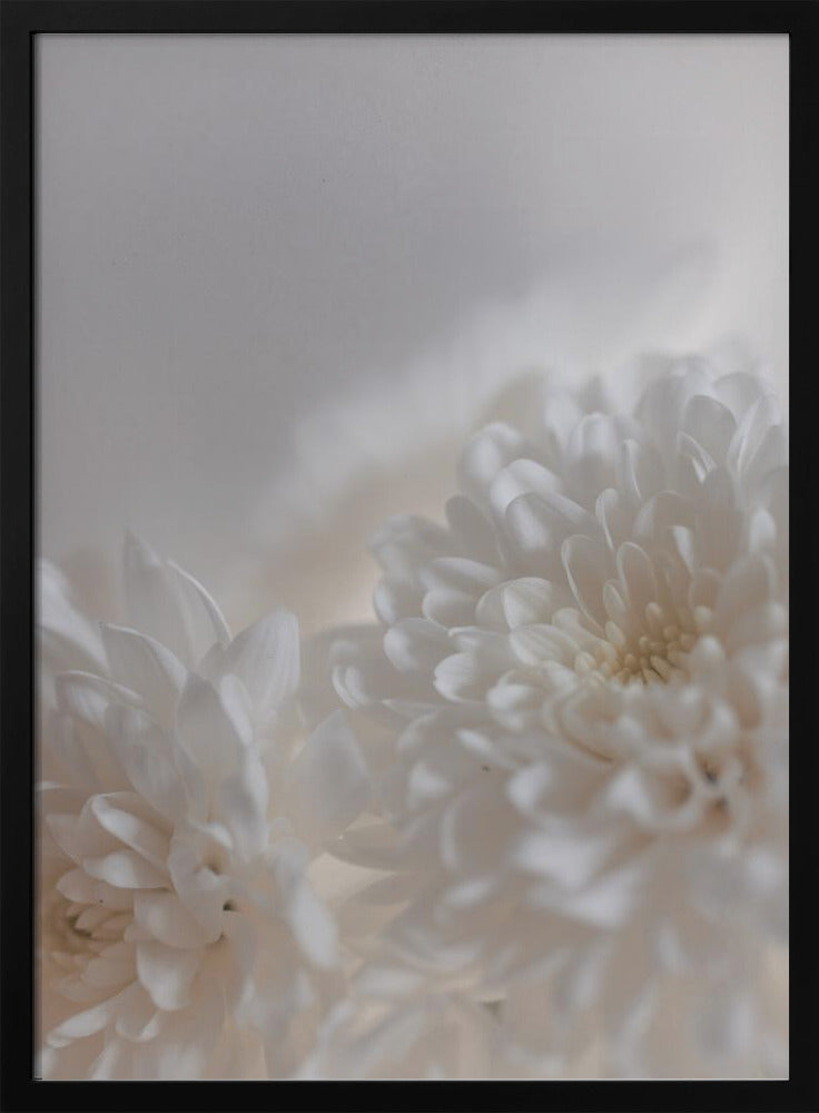 Witte Bloemen 3 | Poster