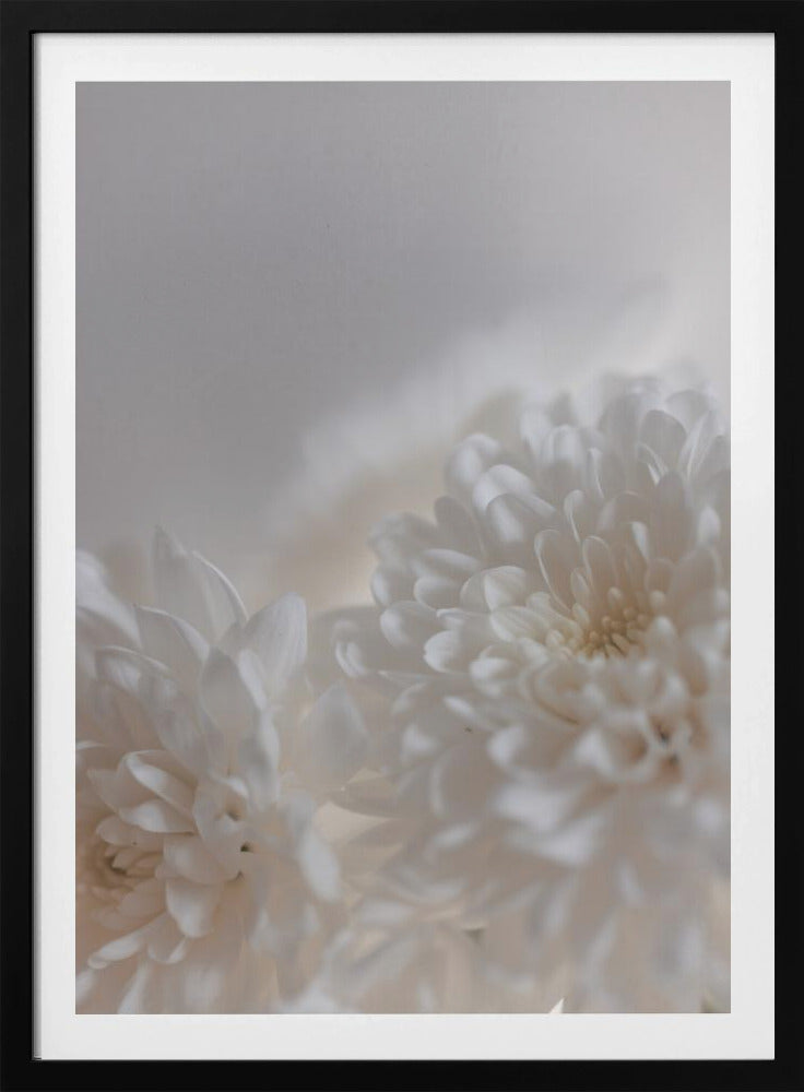 Witte Bloemen 3 | Poster