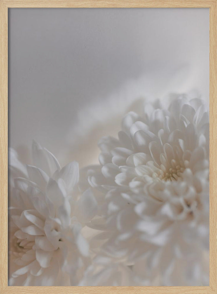 Witte Bloemen 3 | Poster