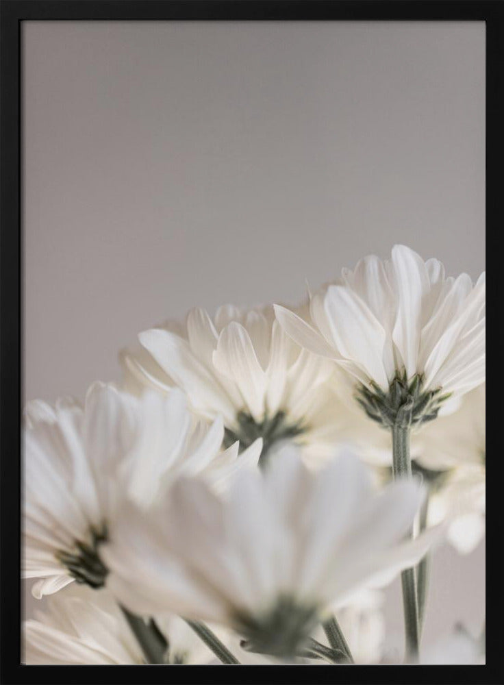 Witte Bloemen 4 | Poster