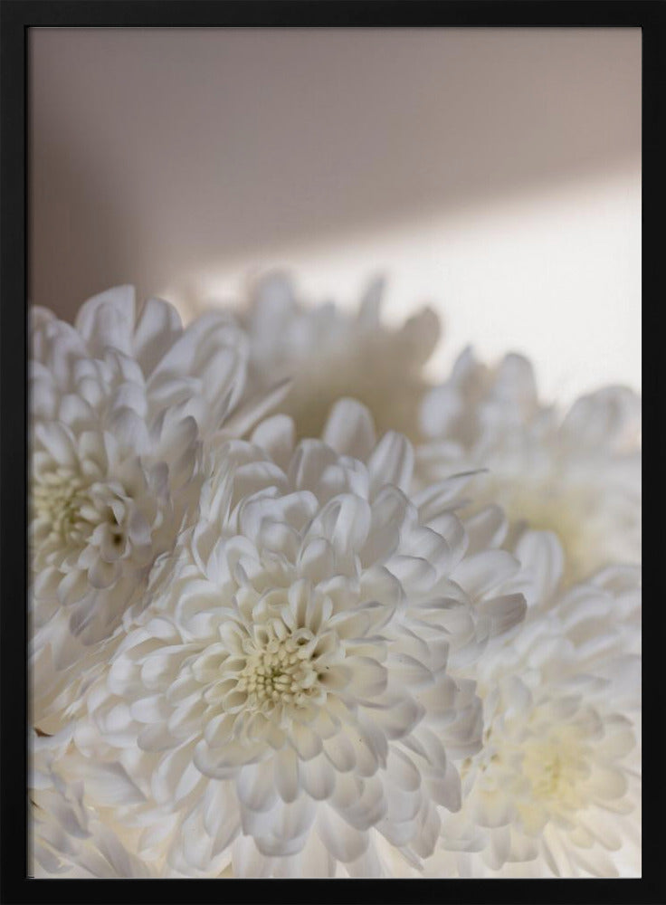 Witte Bloemen 6 | Poster