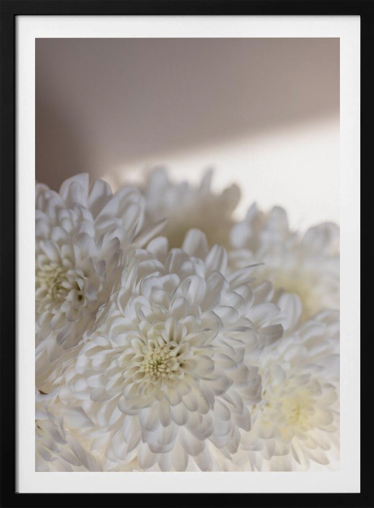 Witte Bloemen 6 | Poster