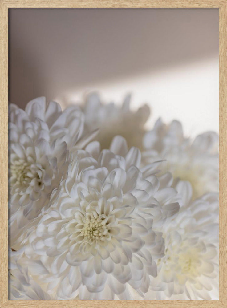 Witte Bloemen 6 | Poster