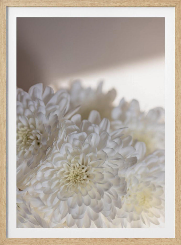Witte Bloemen 6 | Poster