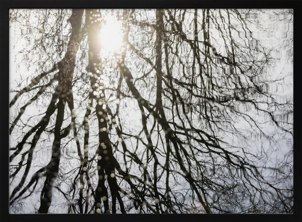 Winterreflecties 3 | Poster