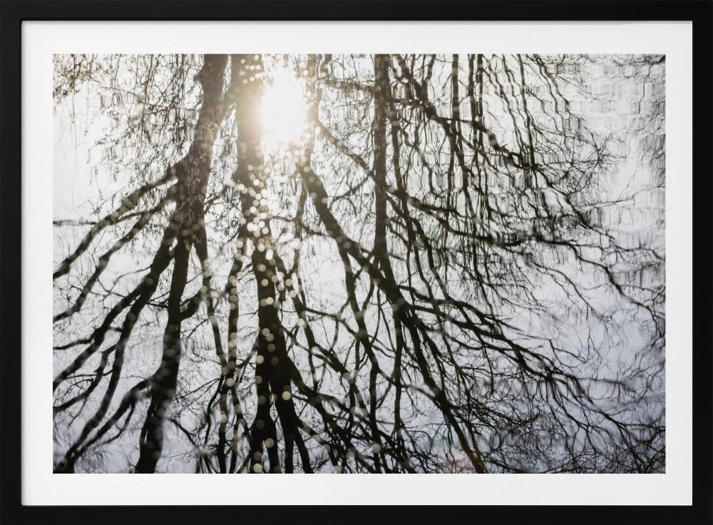 Winterreflecties 3 | Poster