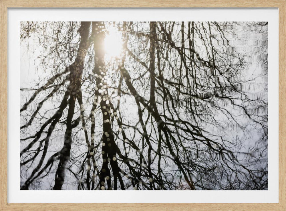 Winterreflecties 3 | Poster