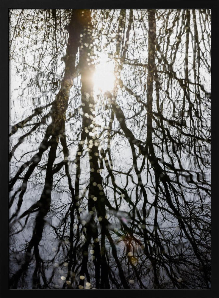 Winterreflecties 4 | Poster