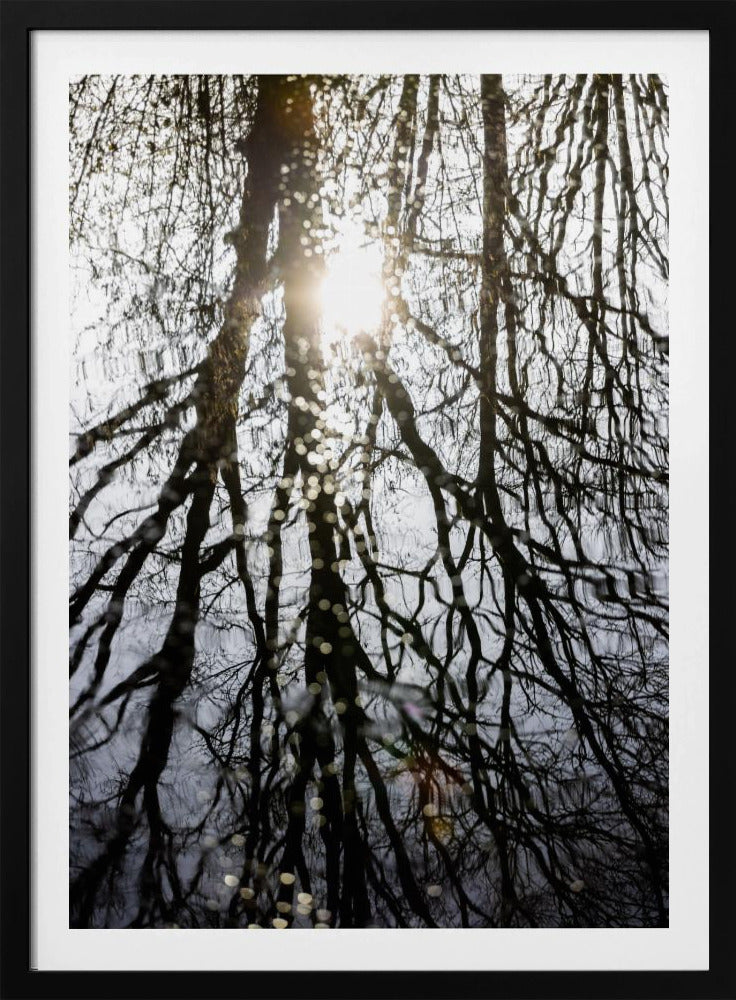 Winterreflecties 4 | Poster