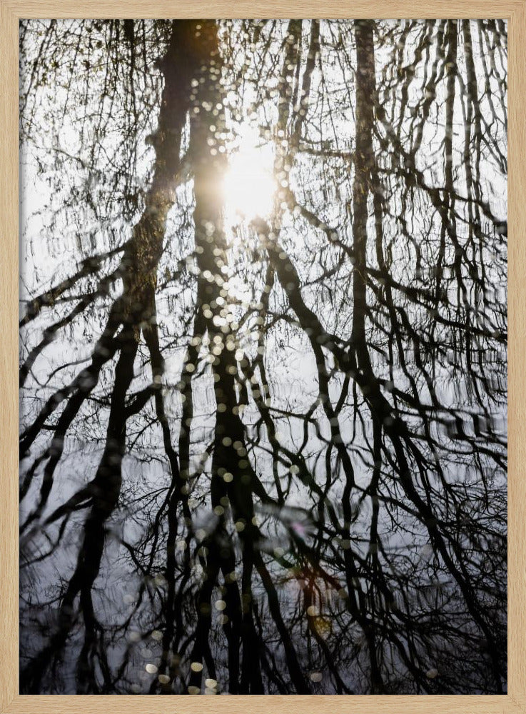Winterreflecties 4 | Poster
