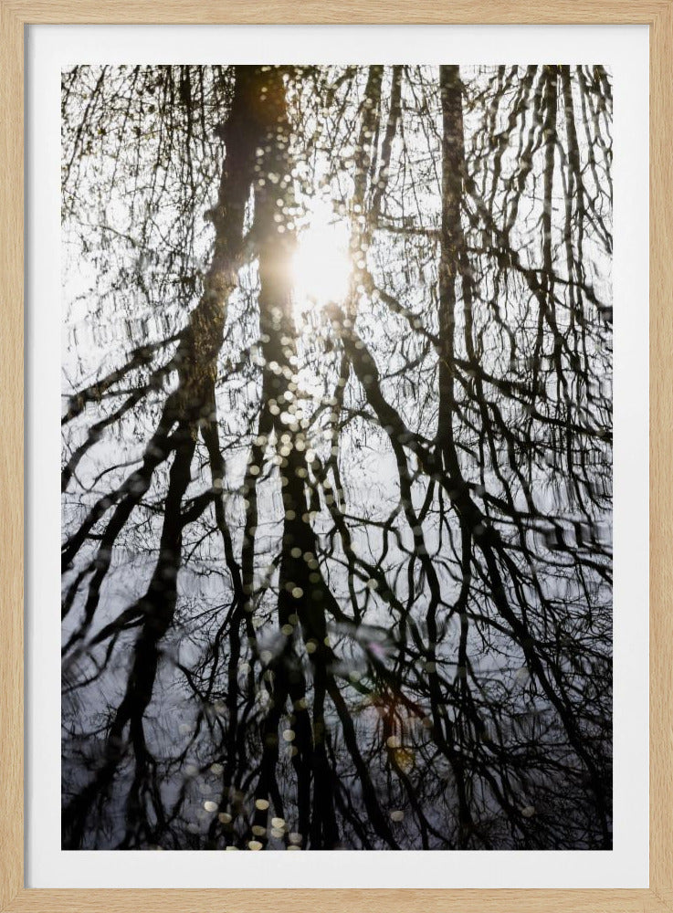 Winterreflecties 4 | Poster