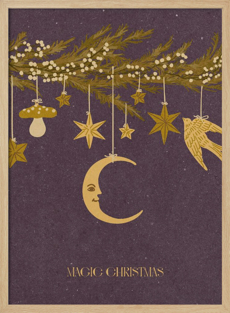 Magische Kerst | Poster