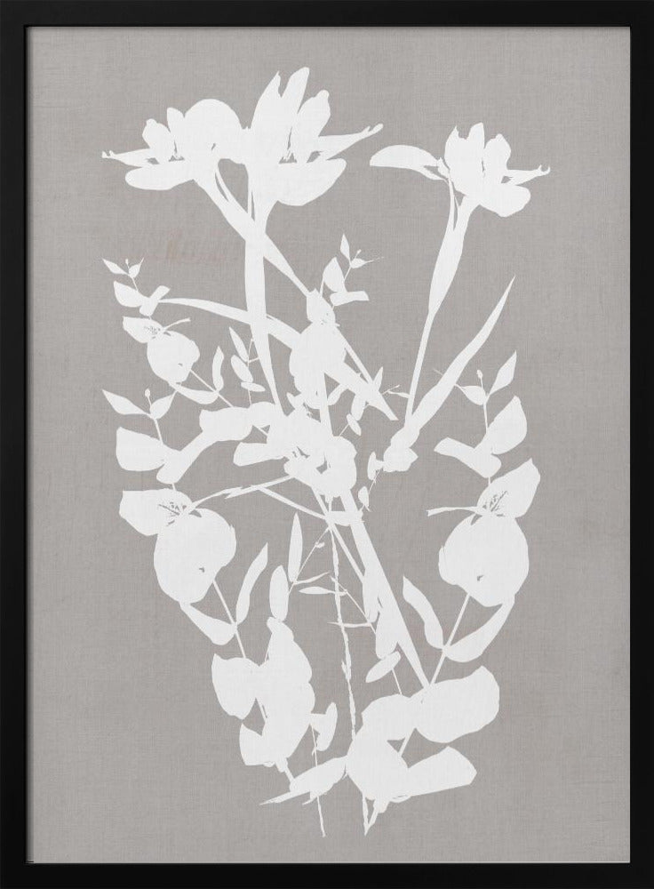 Botanische illustratie 1 | Poster