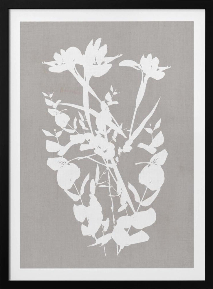 Botanische illustratie 1 | Poster