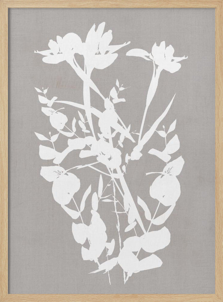 Botanische illustratie 1 | Poster