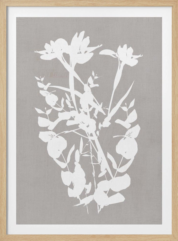 Botanische illustratie 1 | Poster