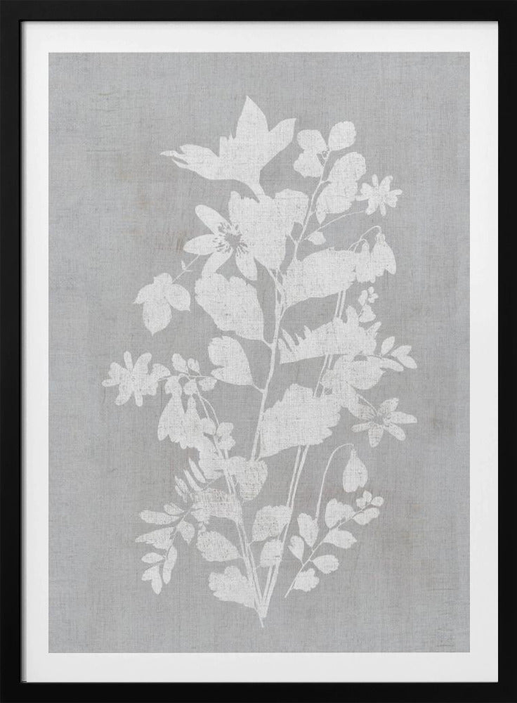 Botanische Illustratie 2 | Poster