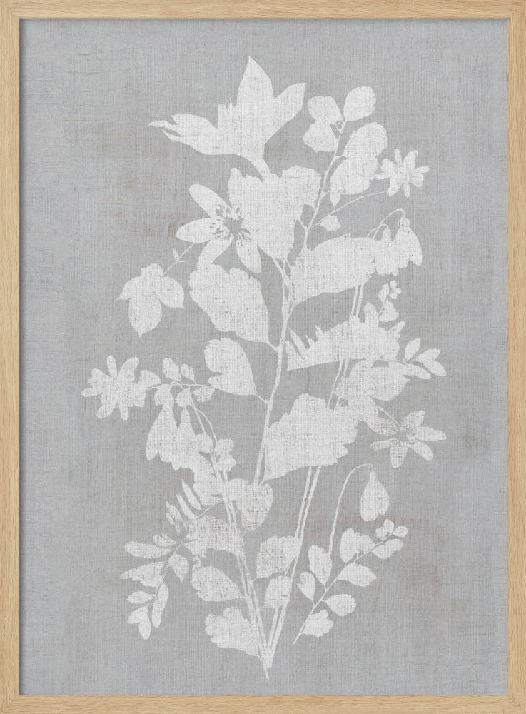 Botanische Illustratie 2 | Poster
